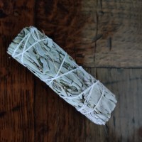 smudge salvia bianca