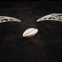 Set 16 conchiglie Buzios